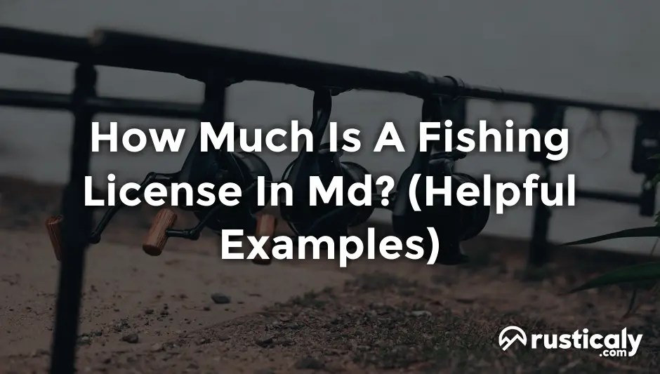 How Much Is A Fishing License In Md? (Check This First)