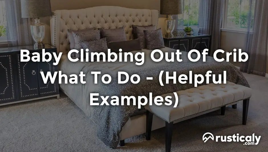 Baby Climbing Out Of Crib What To Do (Helpful Examples)