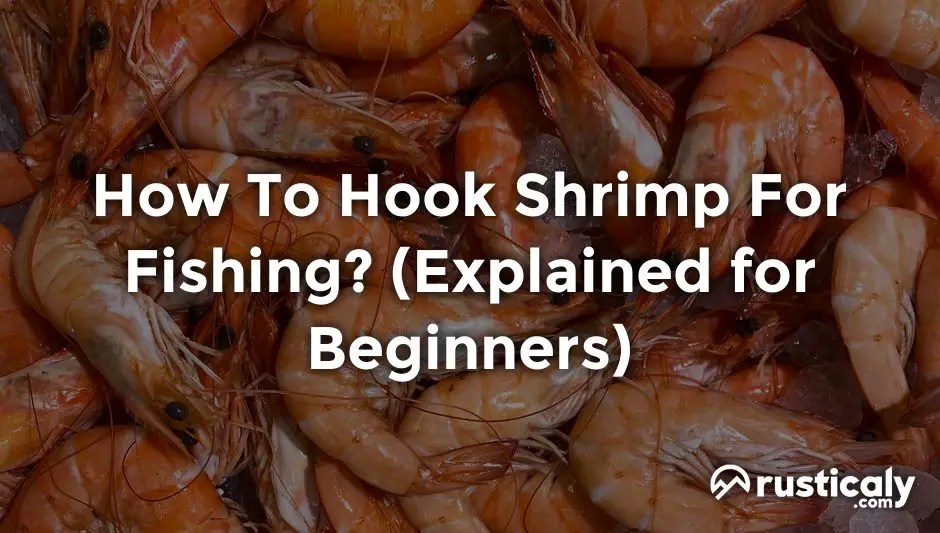 How To Hook Shrimp For Fishing? (Read This First!)