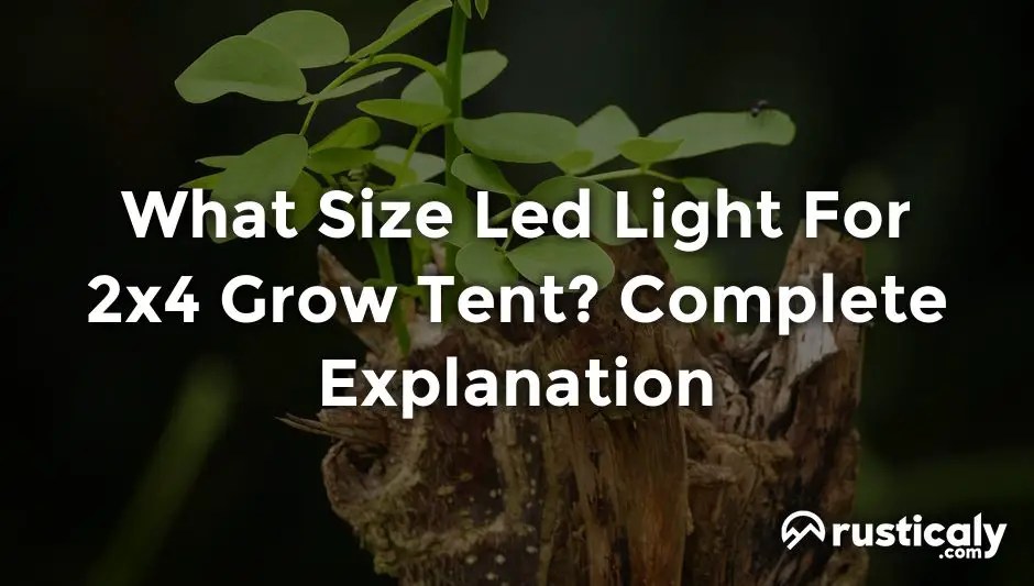 What Size Led Light For 2x4 Grow Tent? Complete Explanation