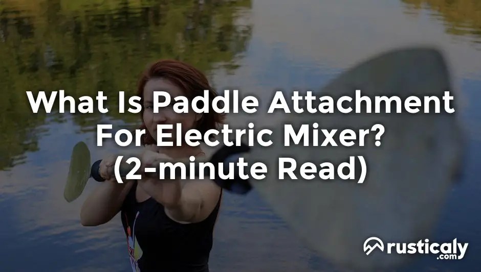 What Is Paddle Attachment For Electric Mixer? (3minute Read)