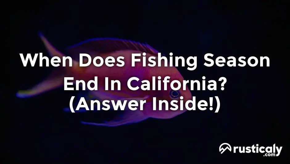 When Does Fishing Season End In California? (Helpful Examples)