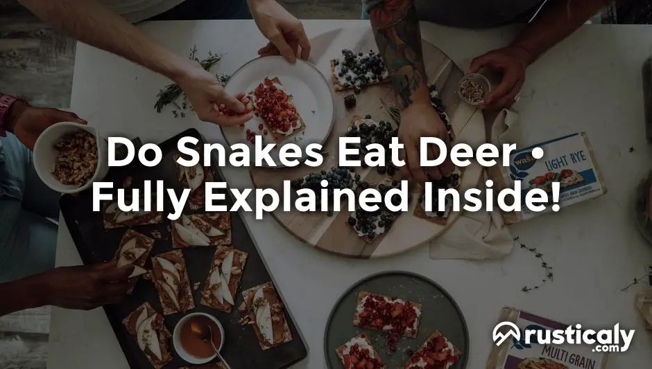 Do Snakes Eat Deer — The Most Comprehensive Answer