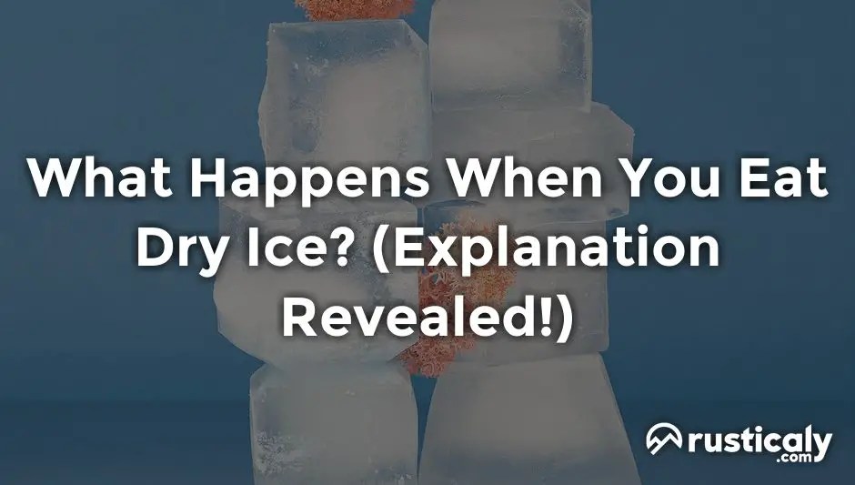 What Happens When You Eat Dry Ice? (Explanation Inside!)