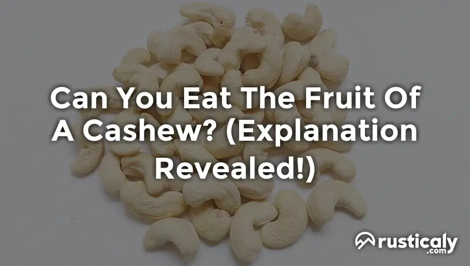 Can You Eat The Fruit Of A Cashew? The Best Explanation