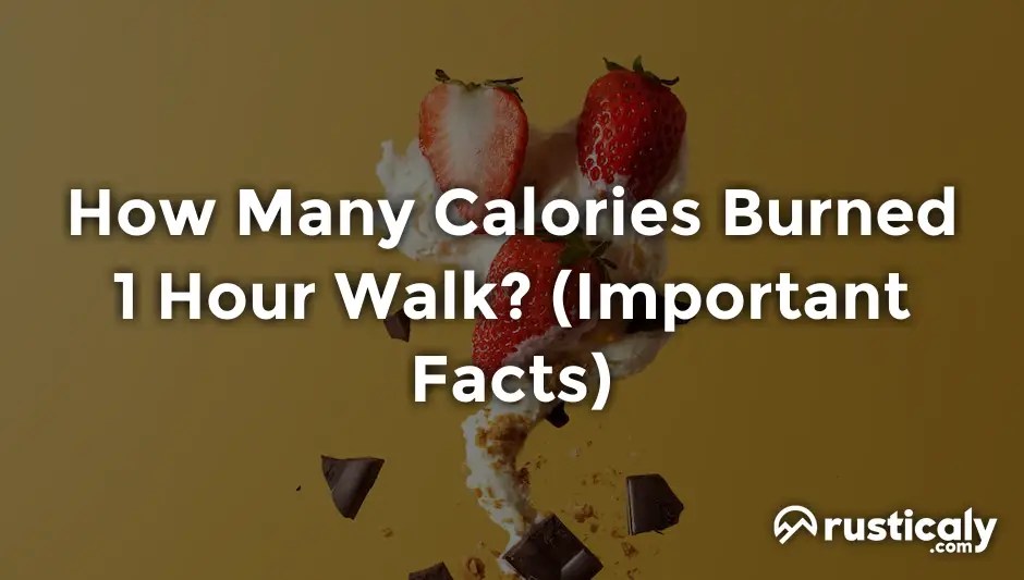 How Many Calories Burned 1 Hour Walk? (Answer Inside!)