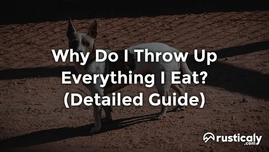 Why Do I Throw Up Everything I Eat? (Detailed Guide)