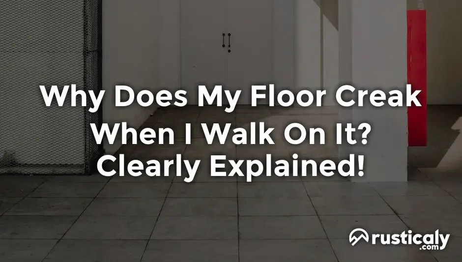 Why Does My Floor Creak When I Walk On It? (Important Facts)