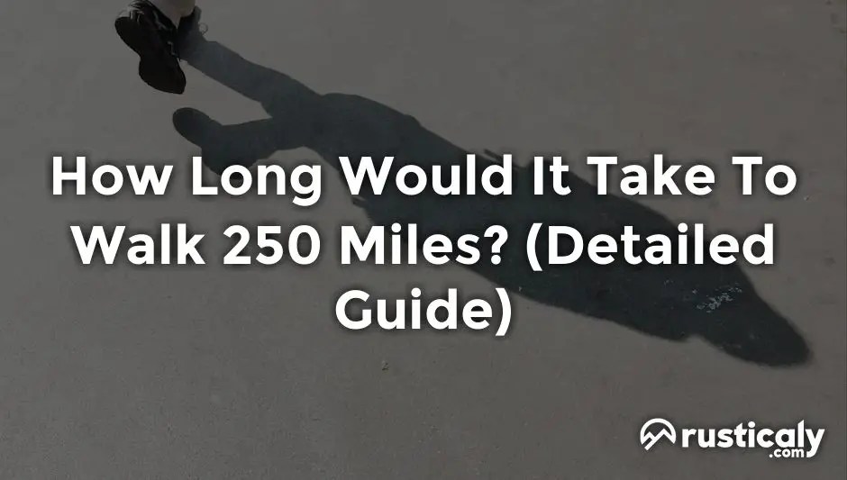 How Long Would It Take To Walk 250 Miles? Answer)(04)