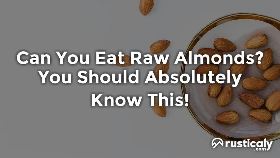 Can You Eat Raw Almonds? You Should Absolutely Know This!