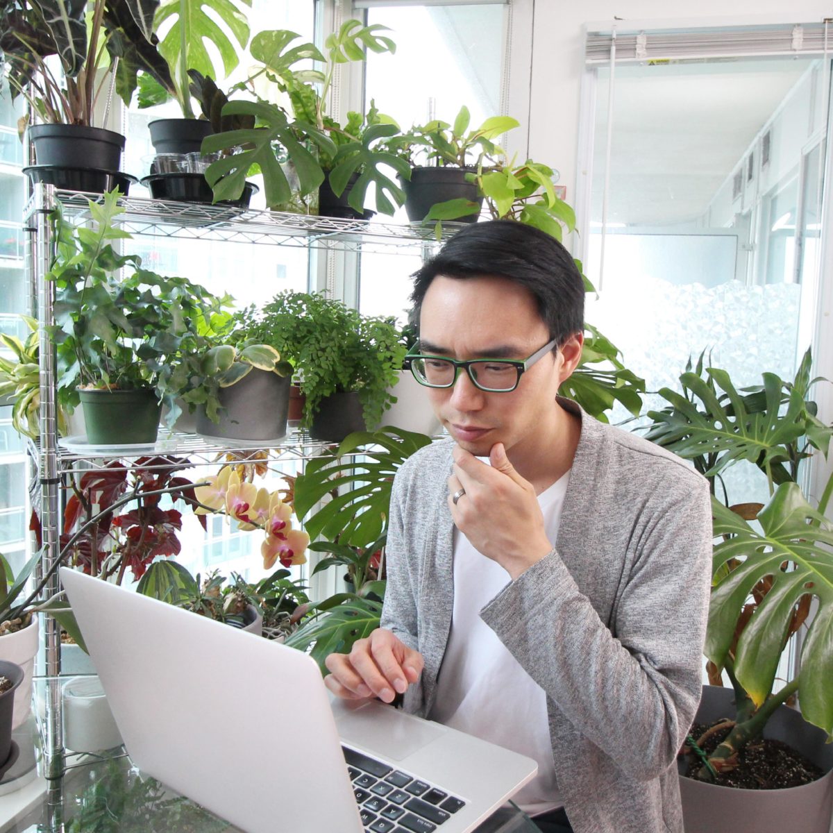 (Webinar) An Engineers' Approach to Houseplant Care The Ruth Bancroft