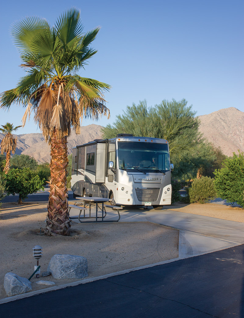 California's Golden Landscapes