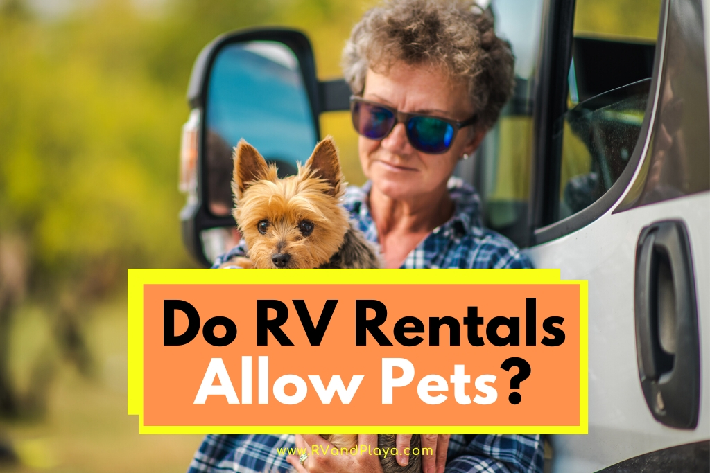 Do RV Rentals Allow Pets? (Pet Friendly Companies)