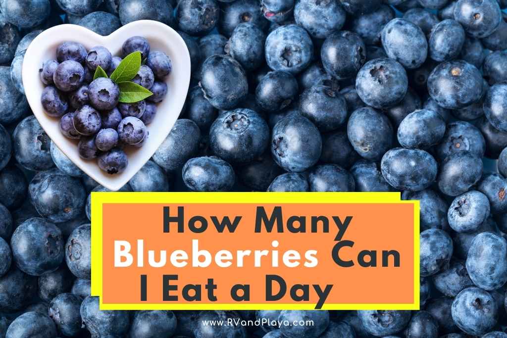 How Many Blueberries Can I Eat a Day? (Health Benefits + More)