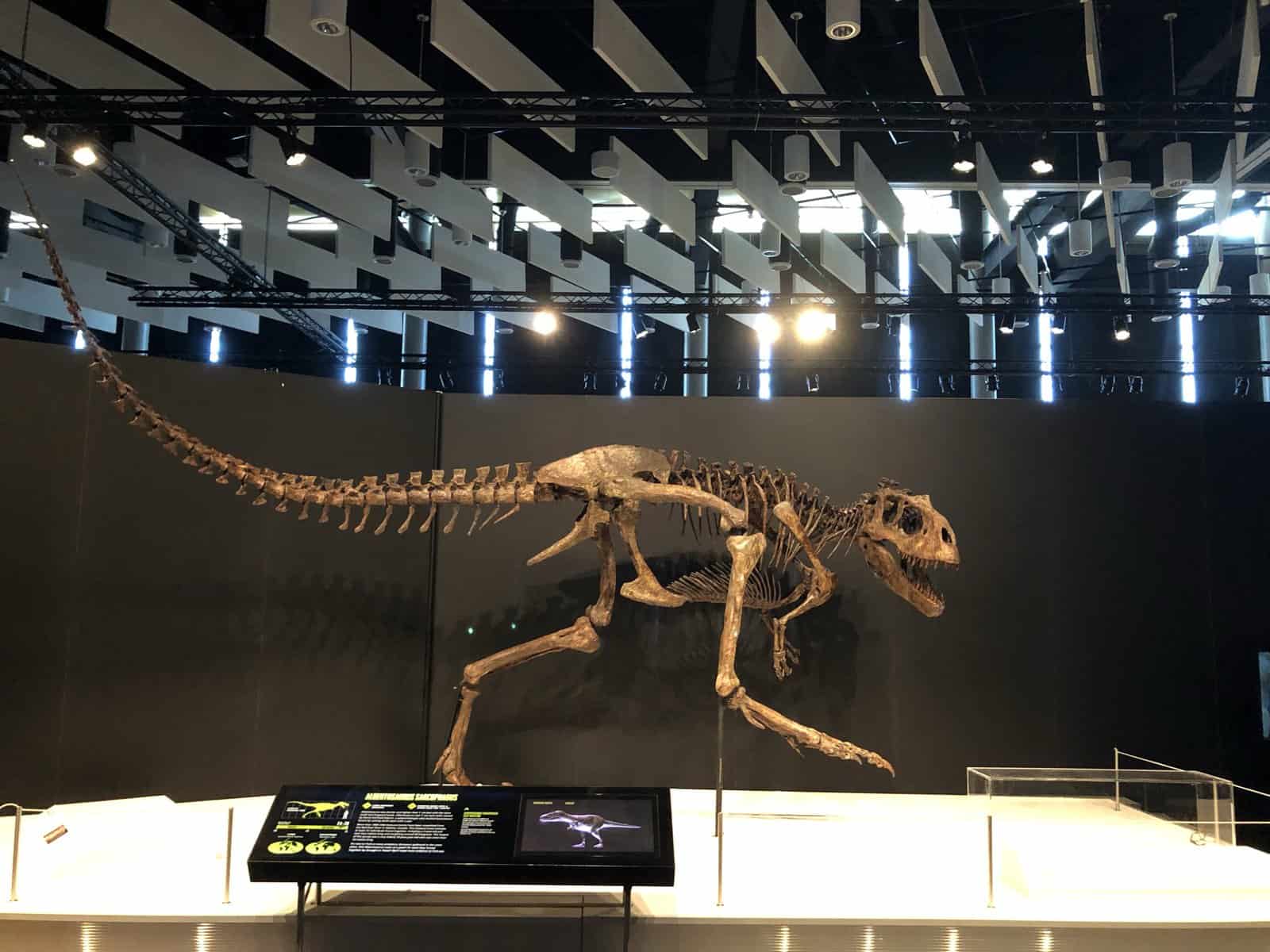 Review Dinosaurs Alive at Science Museum of Virginia