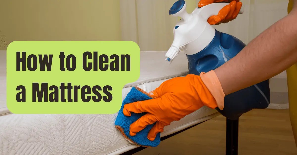 How to Clean A Mattress RVing Beginner