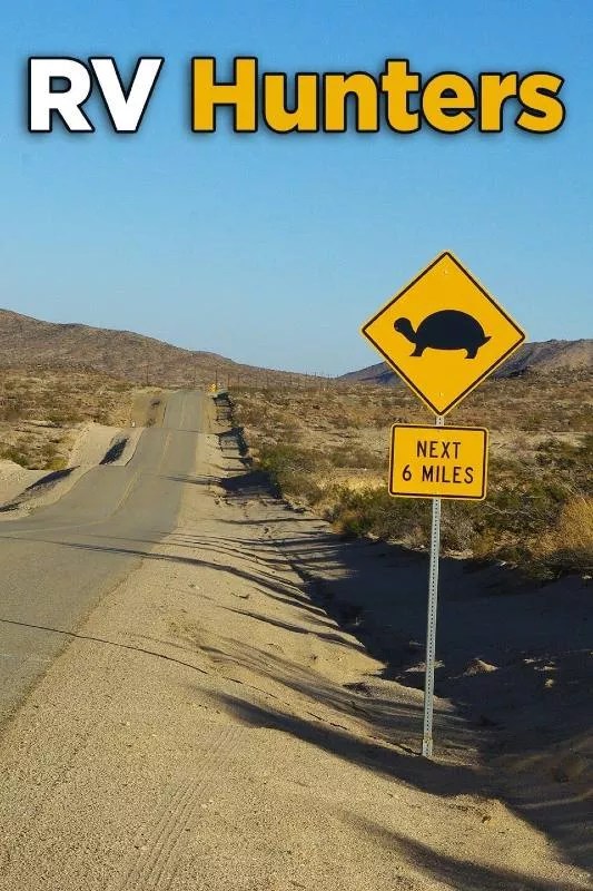 17 Best RV TV Shows of 2024 RVing Beginner