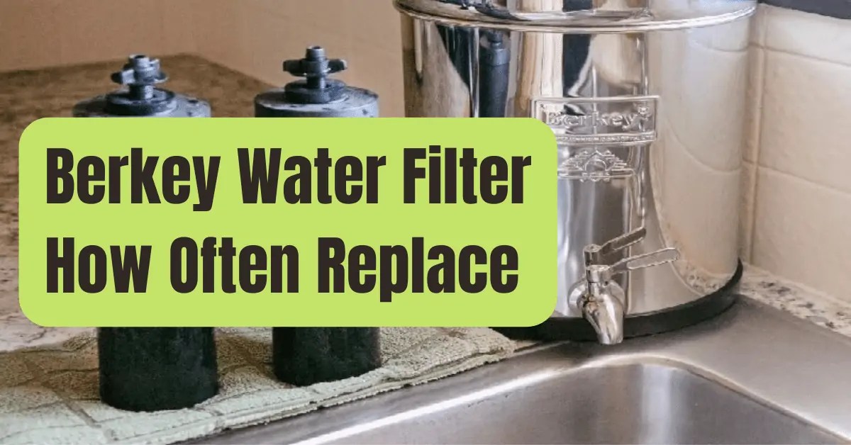 Berkey Water Filter How Often Replace RVing Beginner