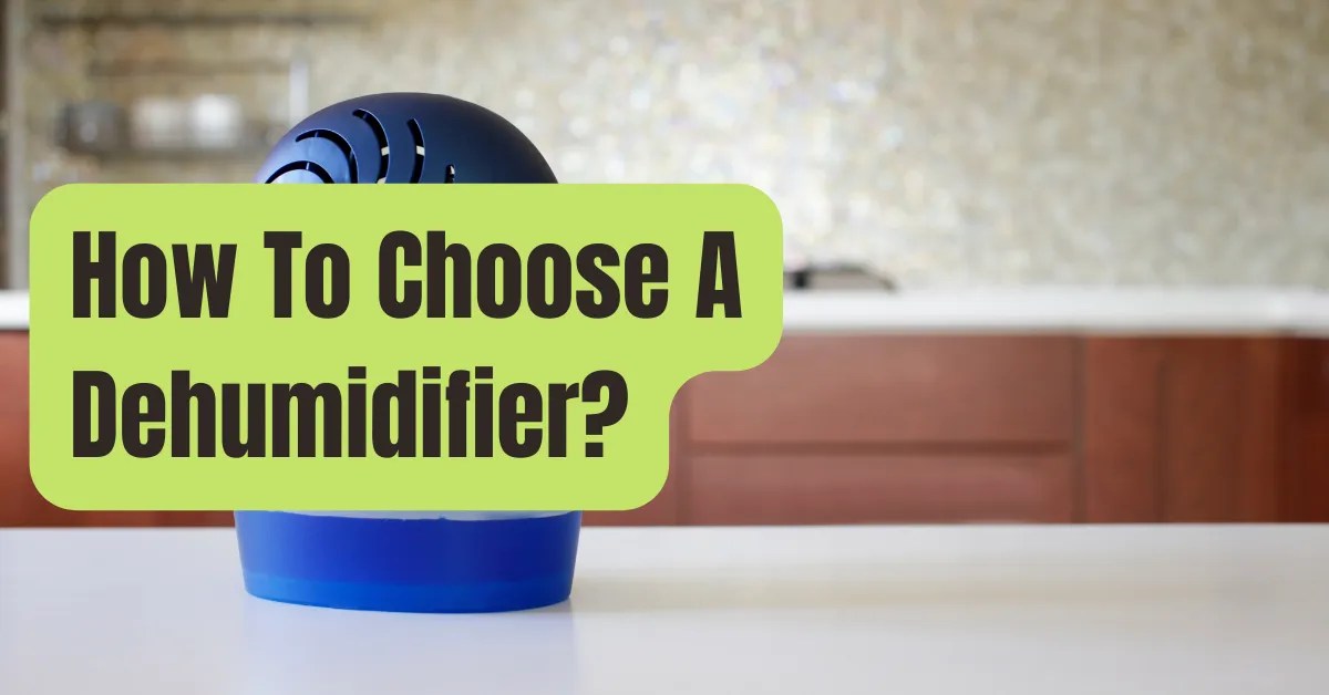How to Choose the Right Size Dehumidifier RVing Beginner