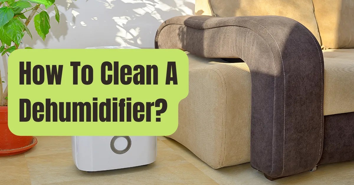 How To Clean A Dehumidifier RVing Beginner
