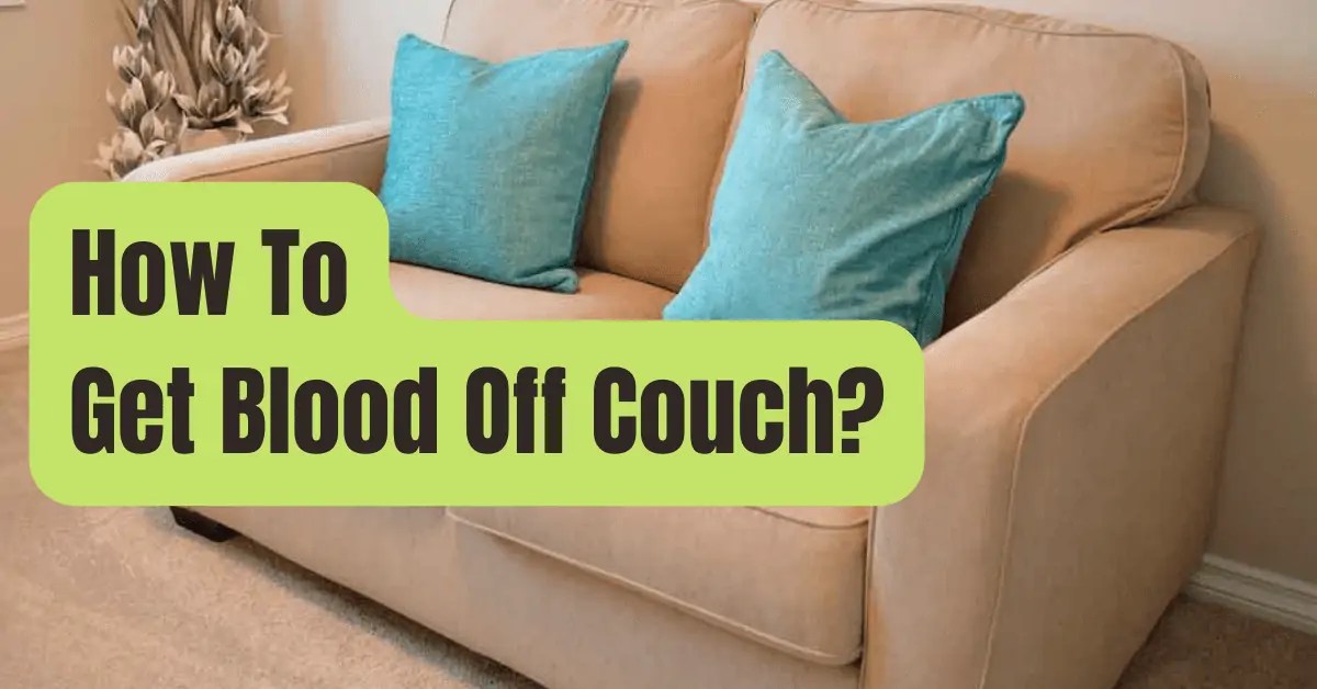 How To Get Blood Off Couch RVing Beginner