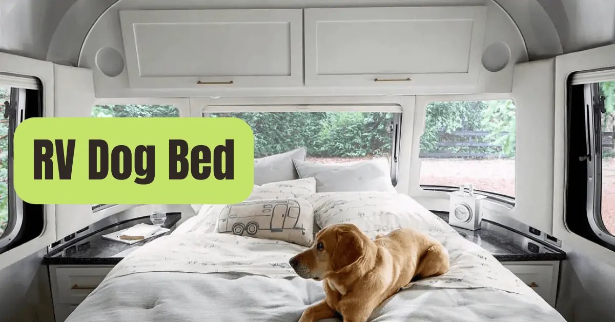 The 5 Best Dog Camping Beds for Travel RVing Beginner