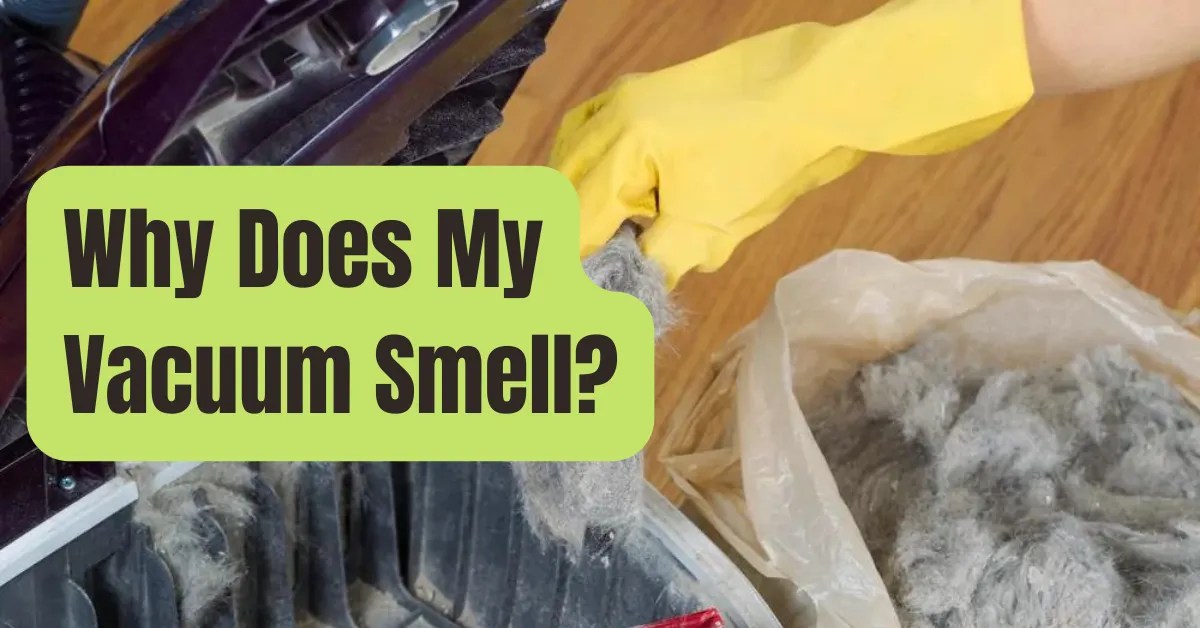Why Does My Vacuum Cleaner Smell So Bad When I Vacuum? RVing Beginner
