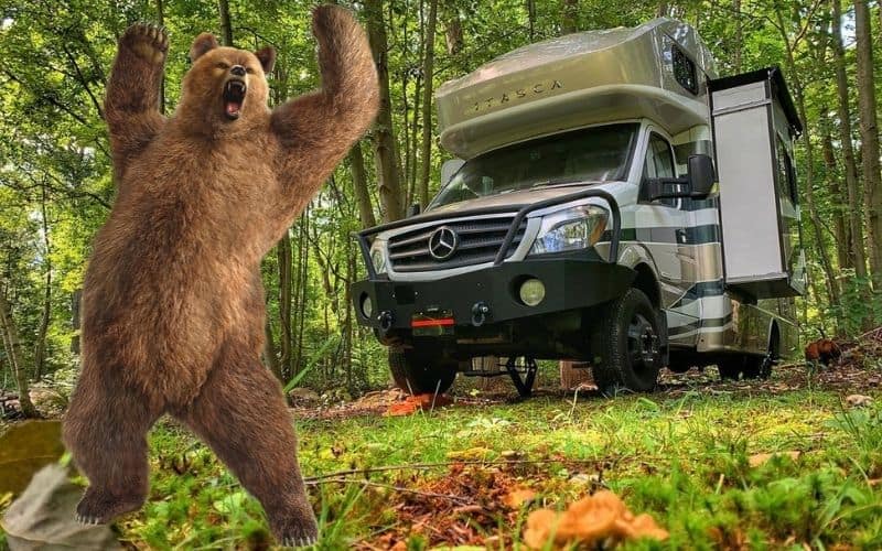 RVs And Bears How To Camp Safely In Bear Country RVing Know How
