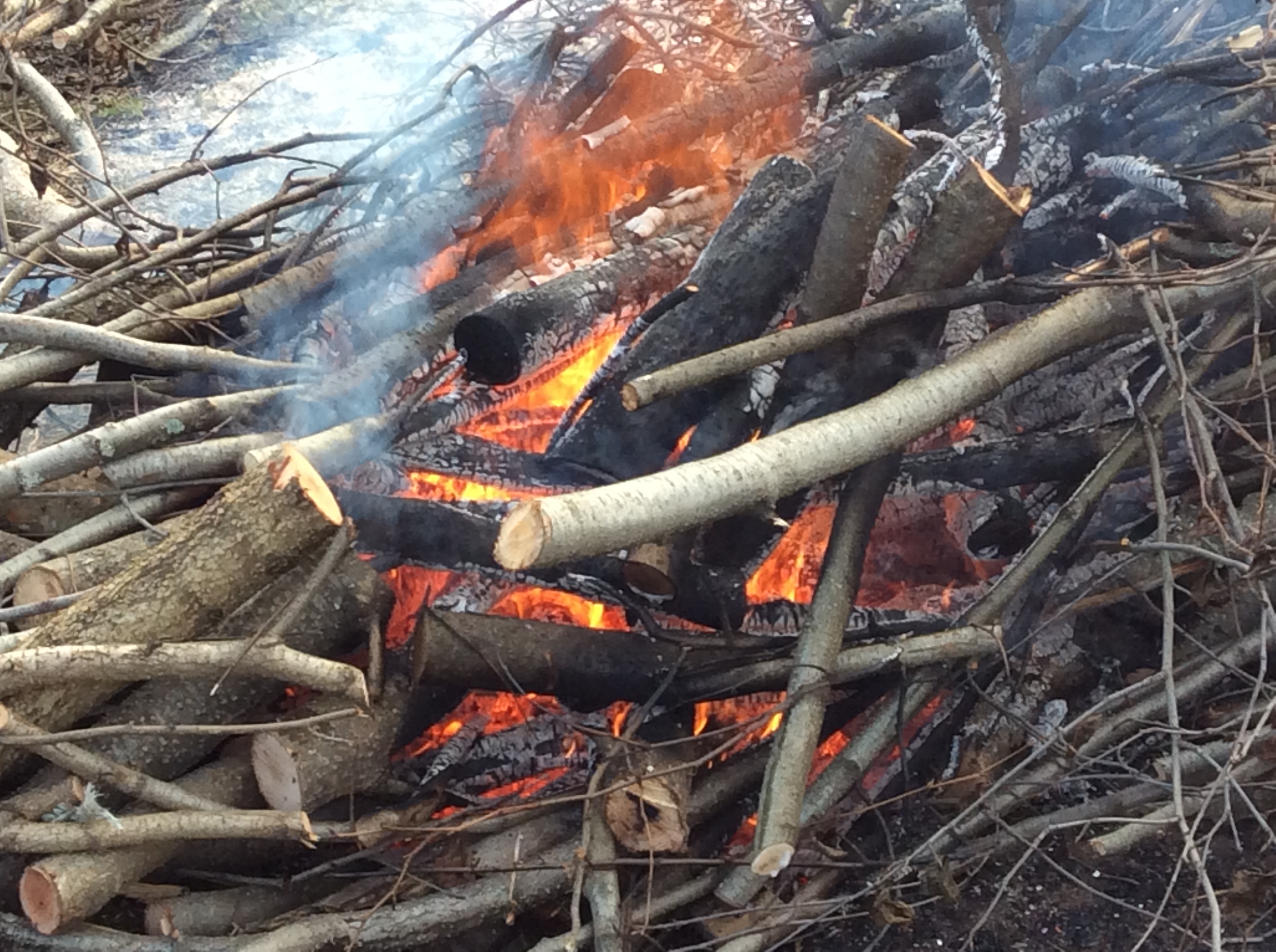 Burning Alders RV Sites in Homer Alaska