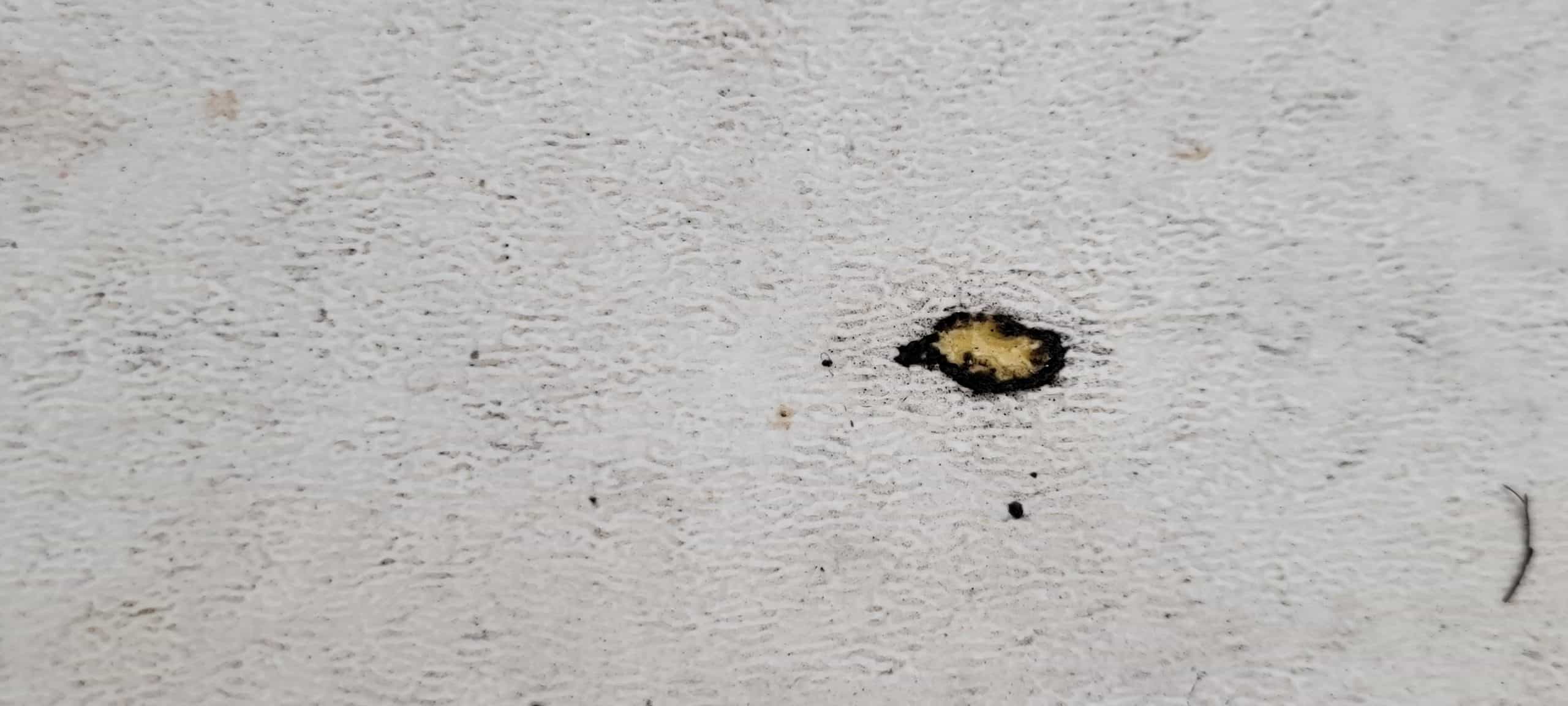 Navigating RV roof replacement through insurance RV Travel