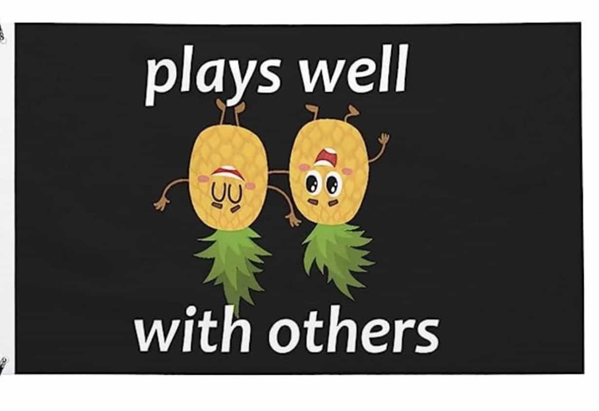 Naughty secret revealed Plastic pink flamingos in RV parks are not