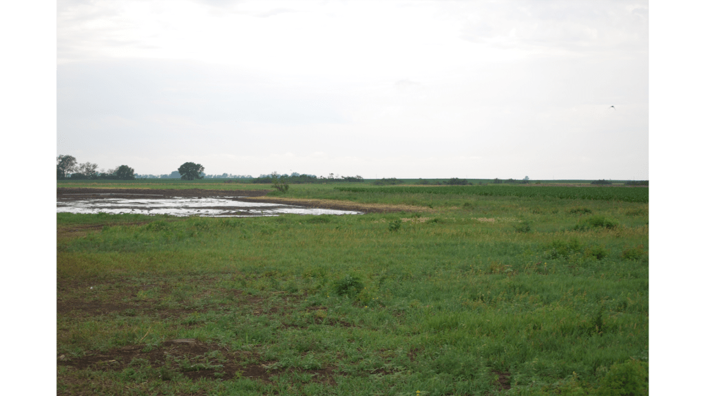 Private Lands Restoration to Benefit Private and Public Lands