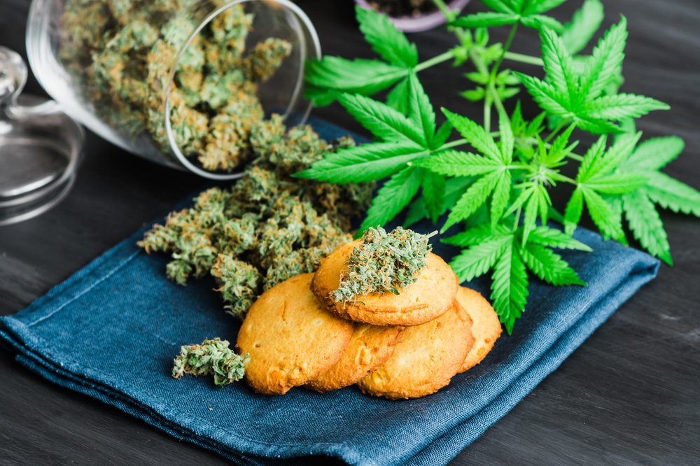 5 Easy and Quick Weed Recipes Cannabis University