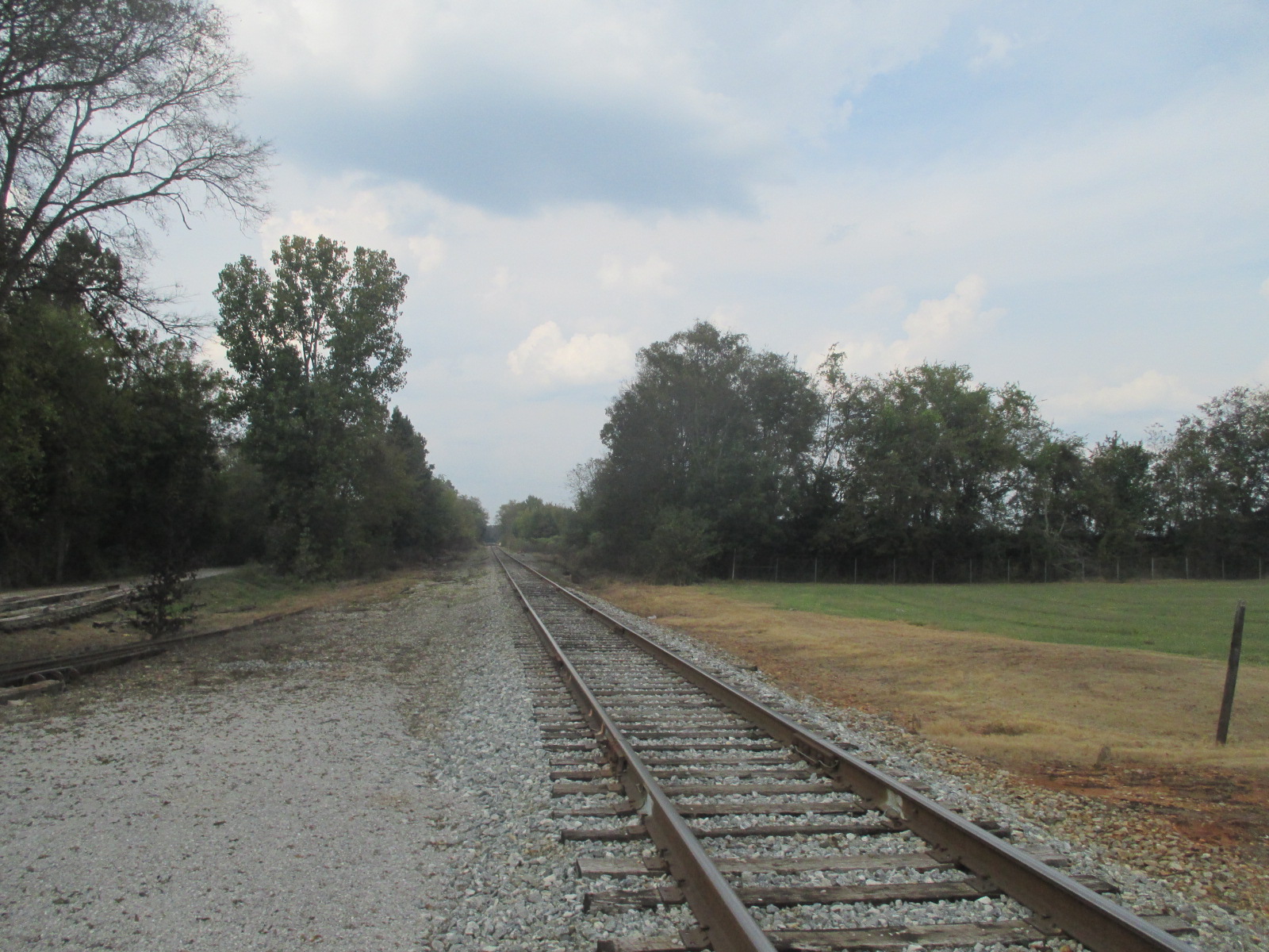 2nd Street (AL 184) (Muscle Shoals, AL)