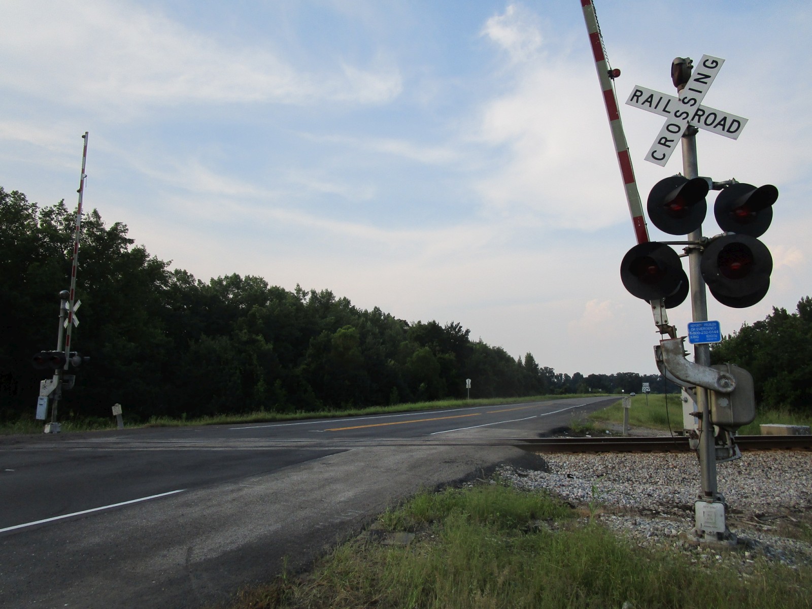 AL 229 (near Shorter, AL)