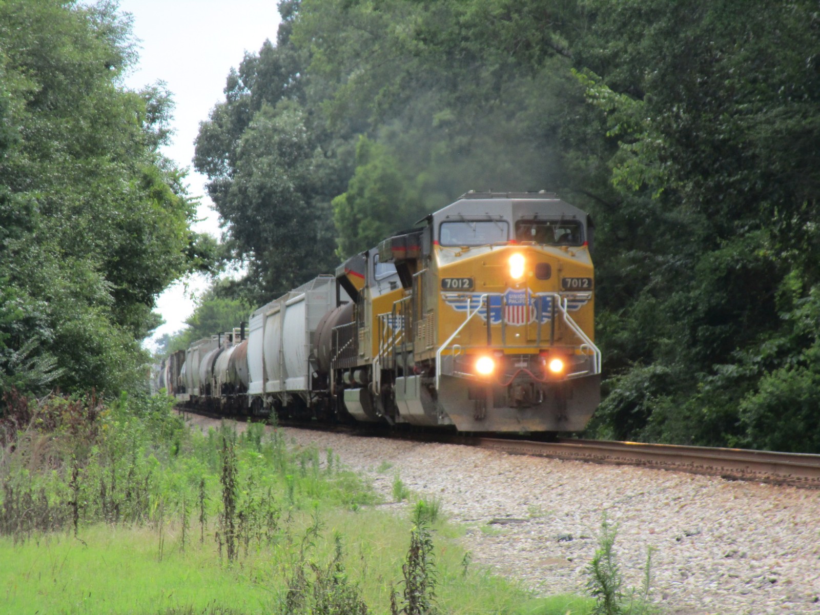 AL 229 (near Shorter, AL)