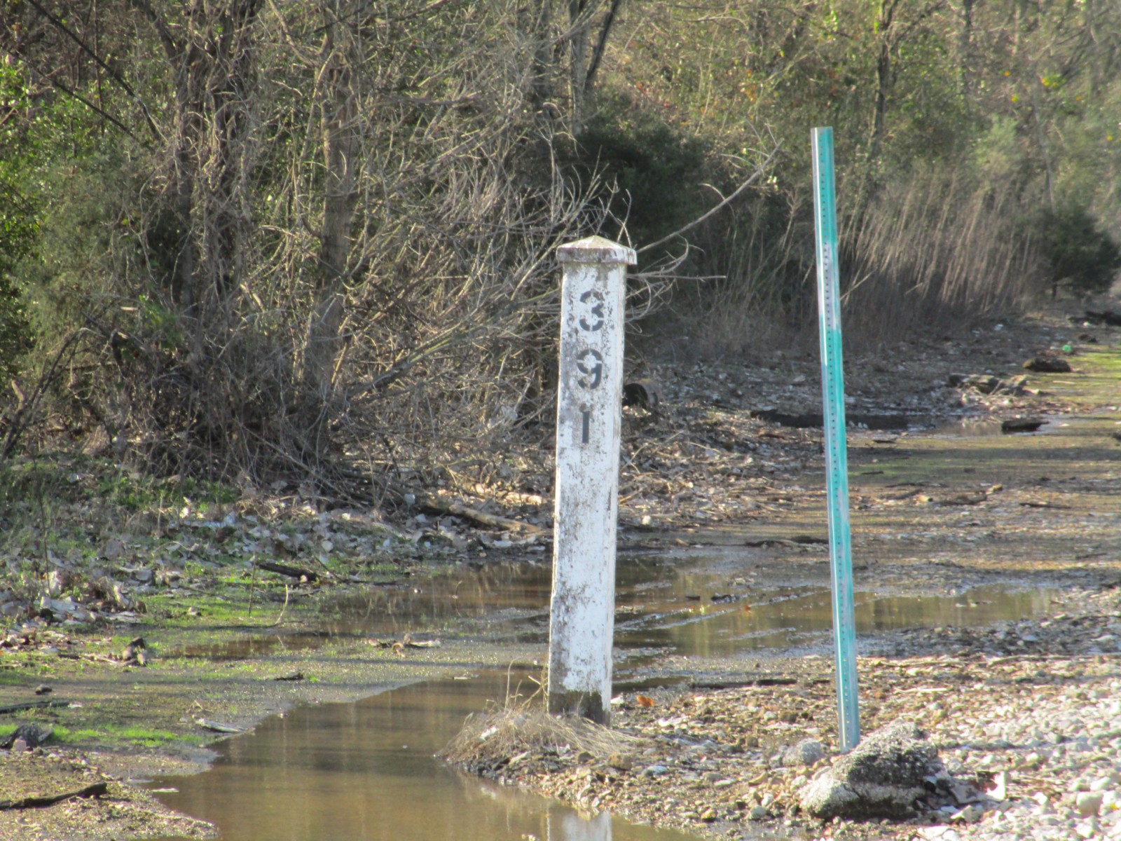 Springdale Road (Tarrant, AL)