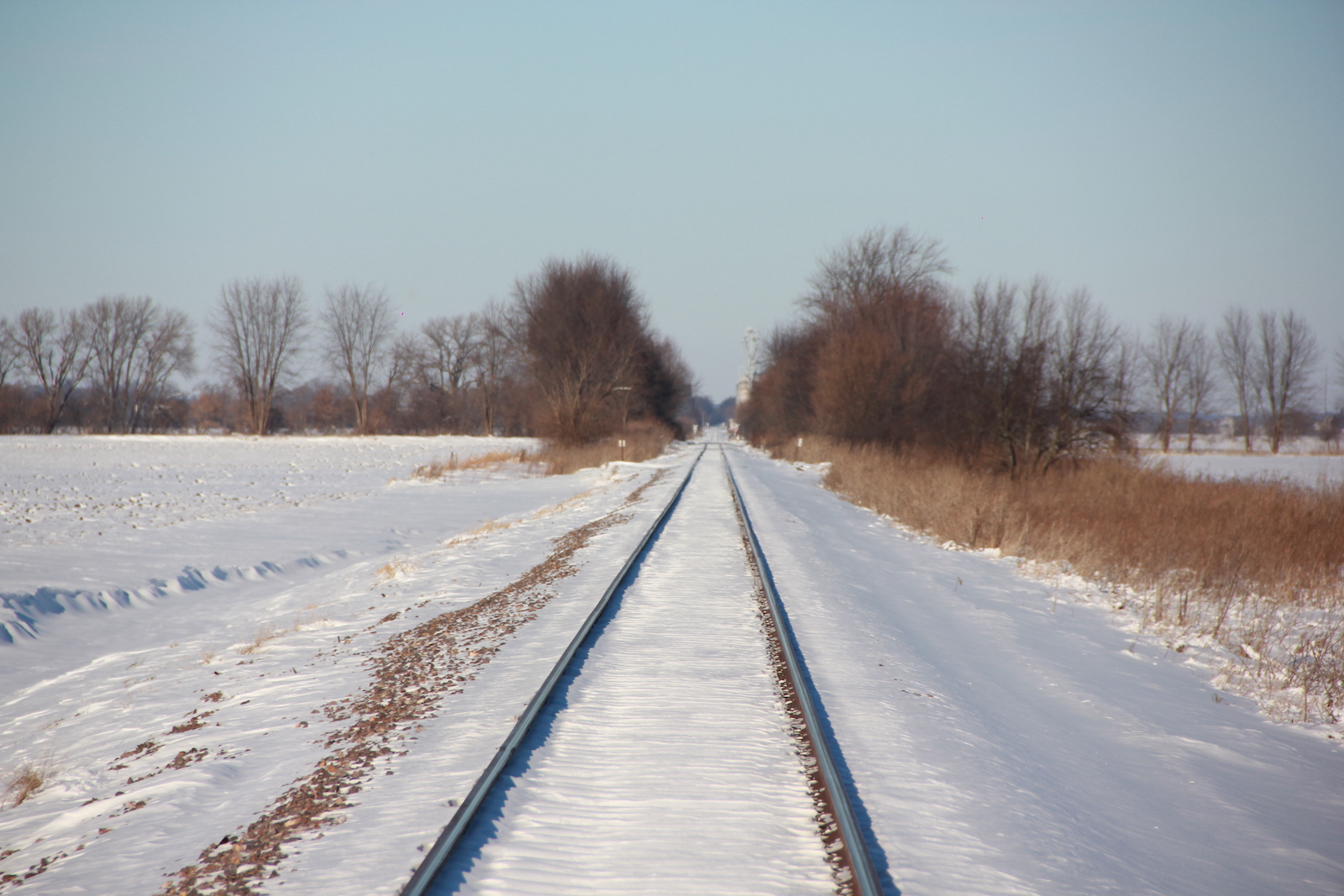 Radley Rd. (Rollo, IL)