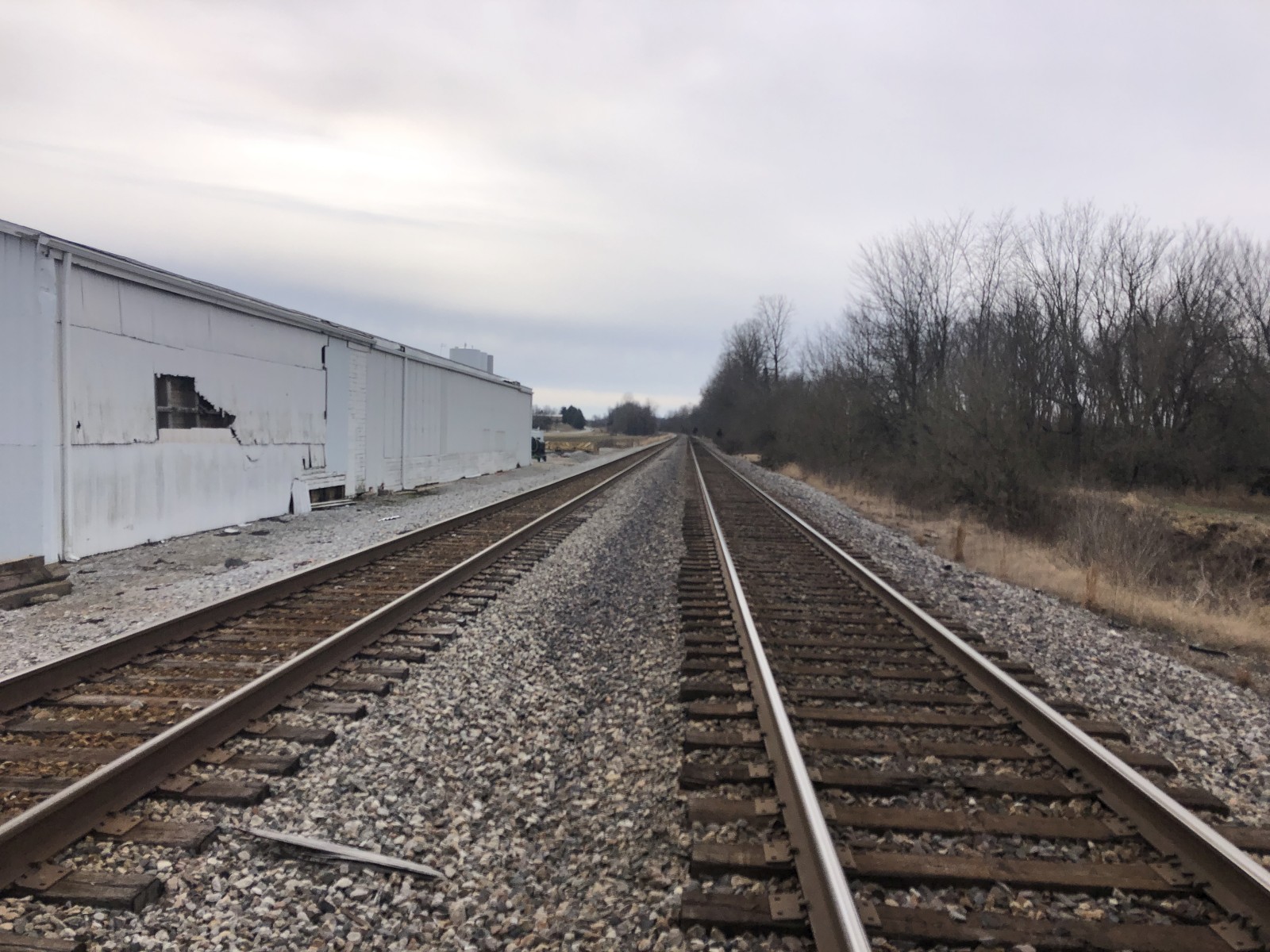 Main Street (Slaughters, KY)