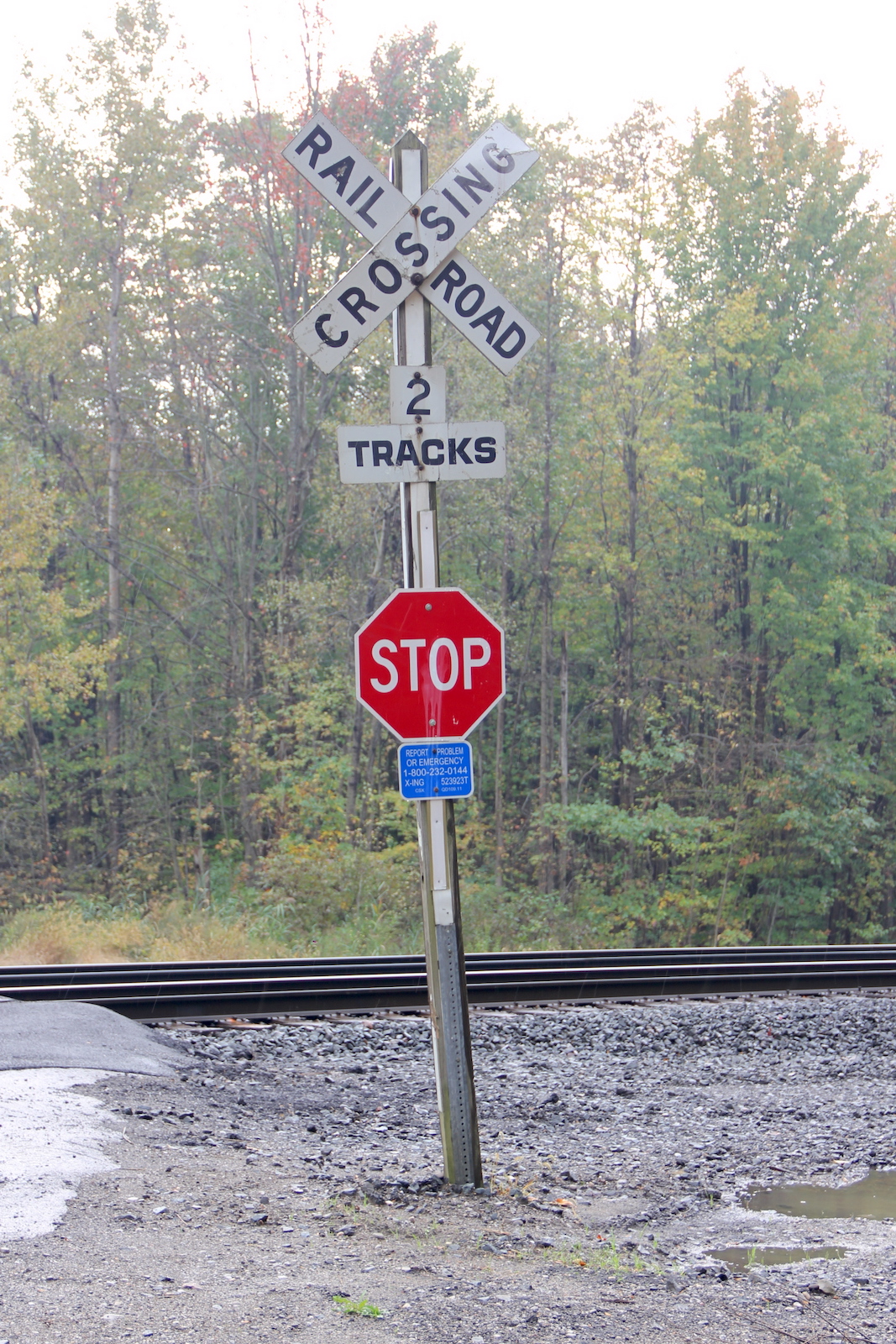 Ellis Rd. (North Springfield, PA)