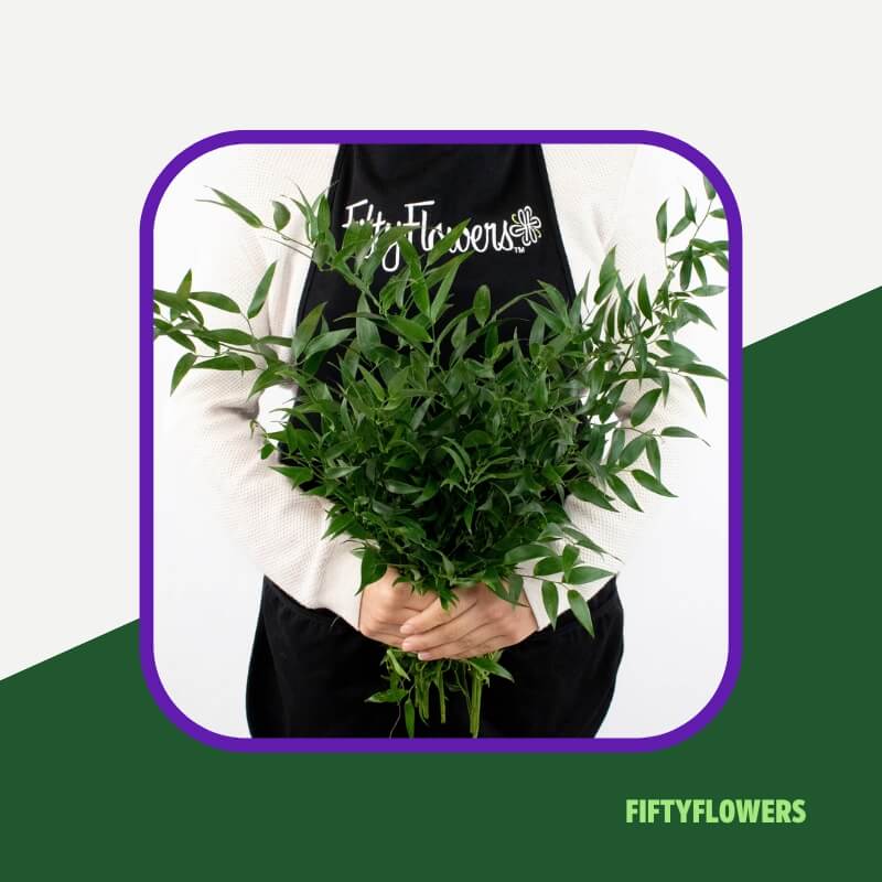 10 Best Filler Flowers for Bouquets and Floral Arrangements [2024