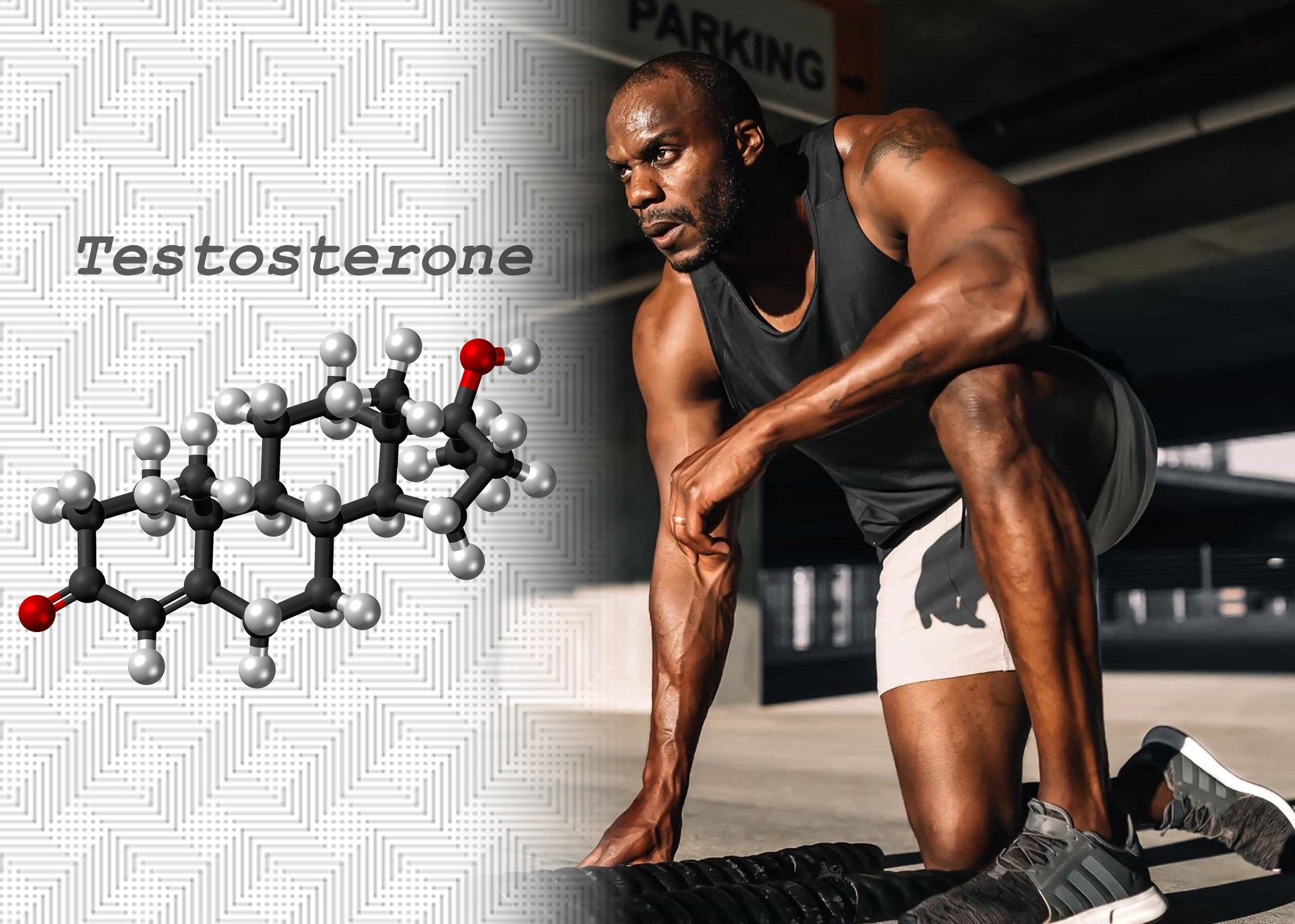 TestosteroneWhat Doctors Won’t Tell You Ry The Health Guy