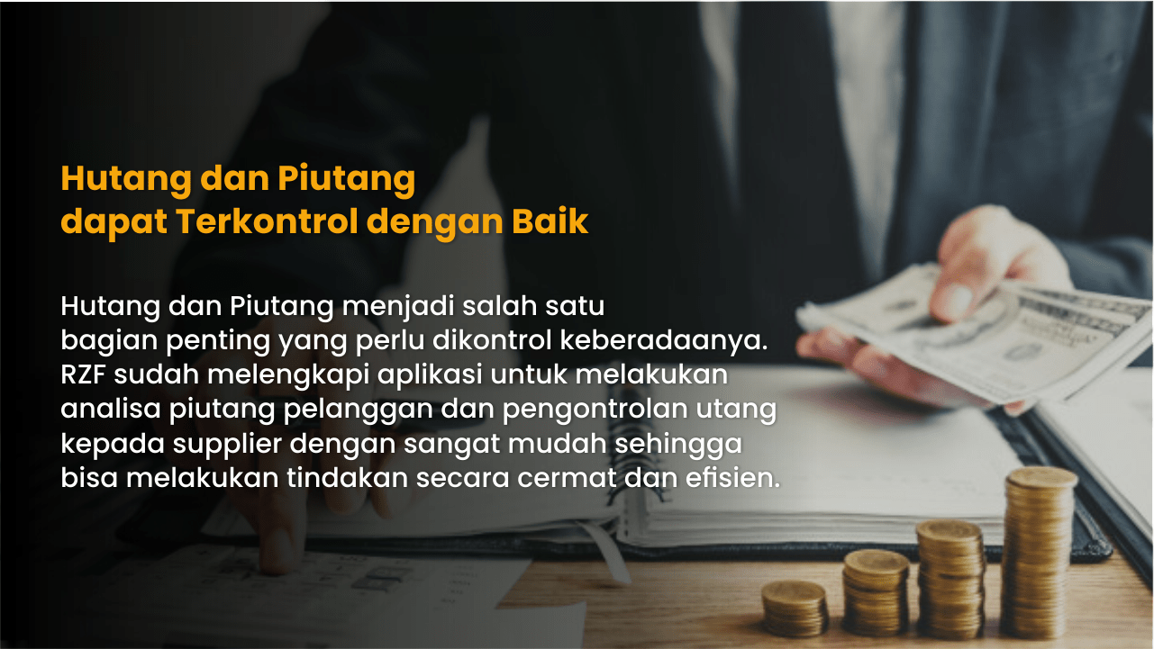 RZF Manufaktur RZF Software Professional Application Developer