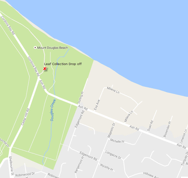 Residents encouraged to check their leaf collection schedule District