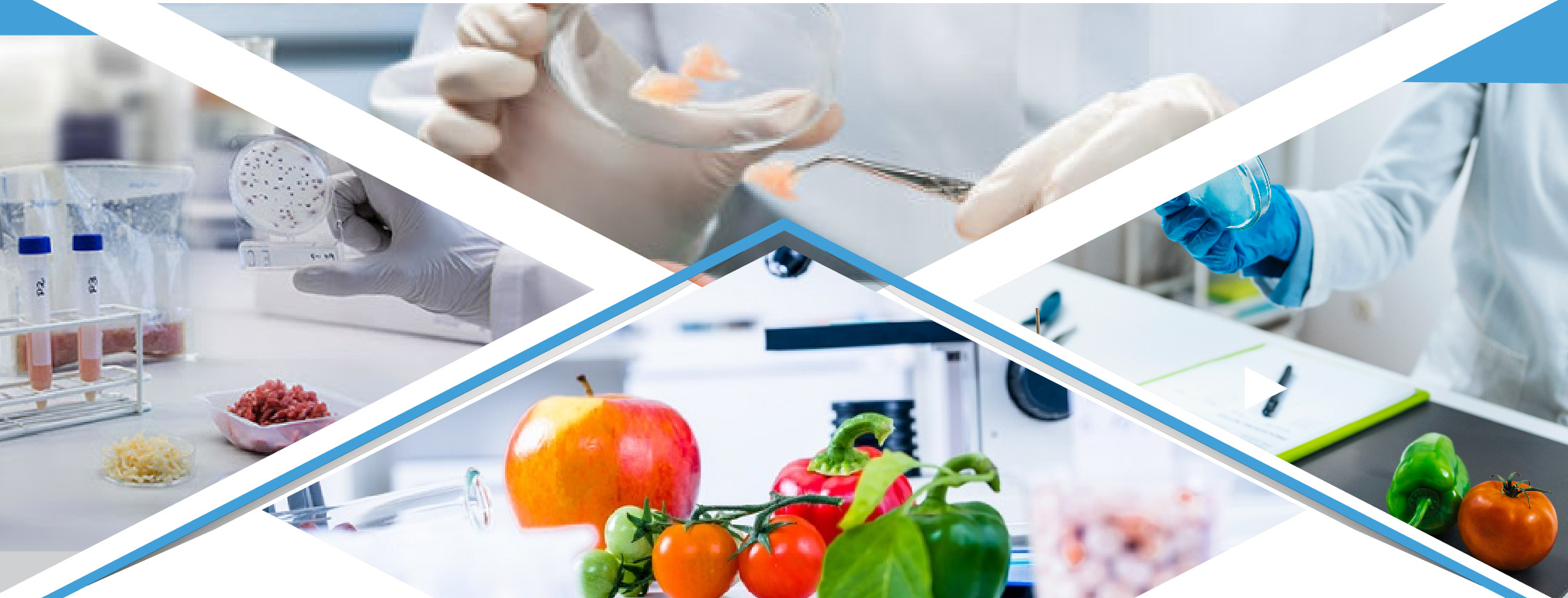 Food Science and Technology Faculty of Applied Sciences