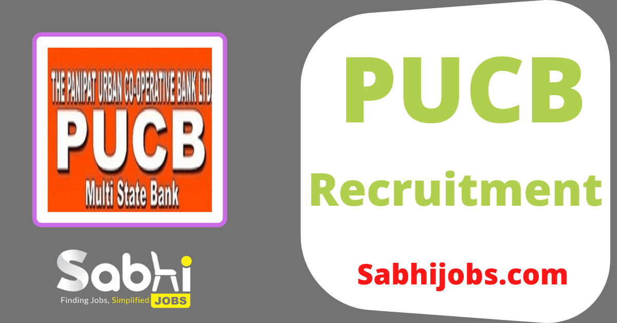 PUCB Recruitment 2024 Career Pucb.in Latest Job Vacancy
