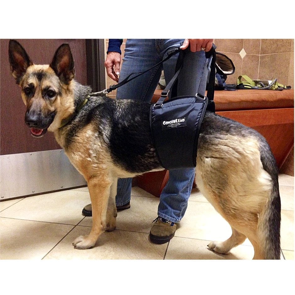 GingerLead Dog Sling Support & Rehabilitation Harness Sabi Pets