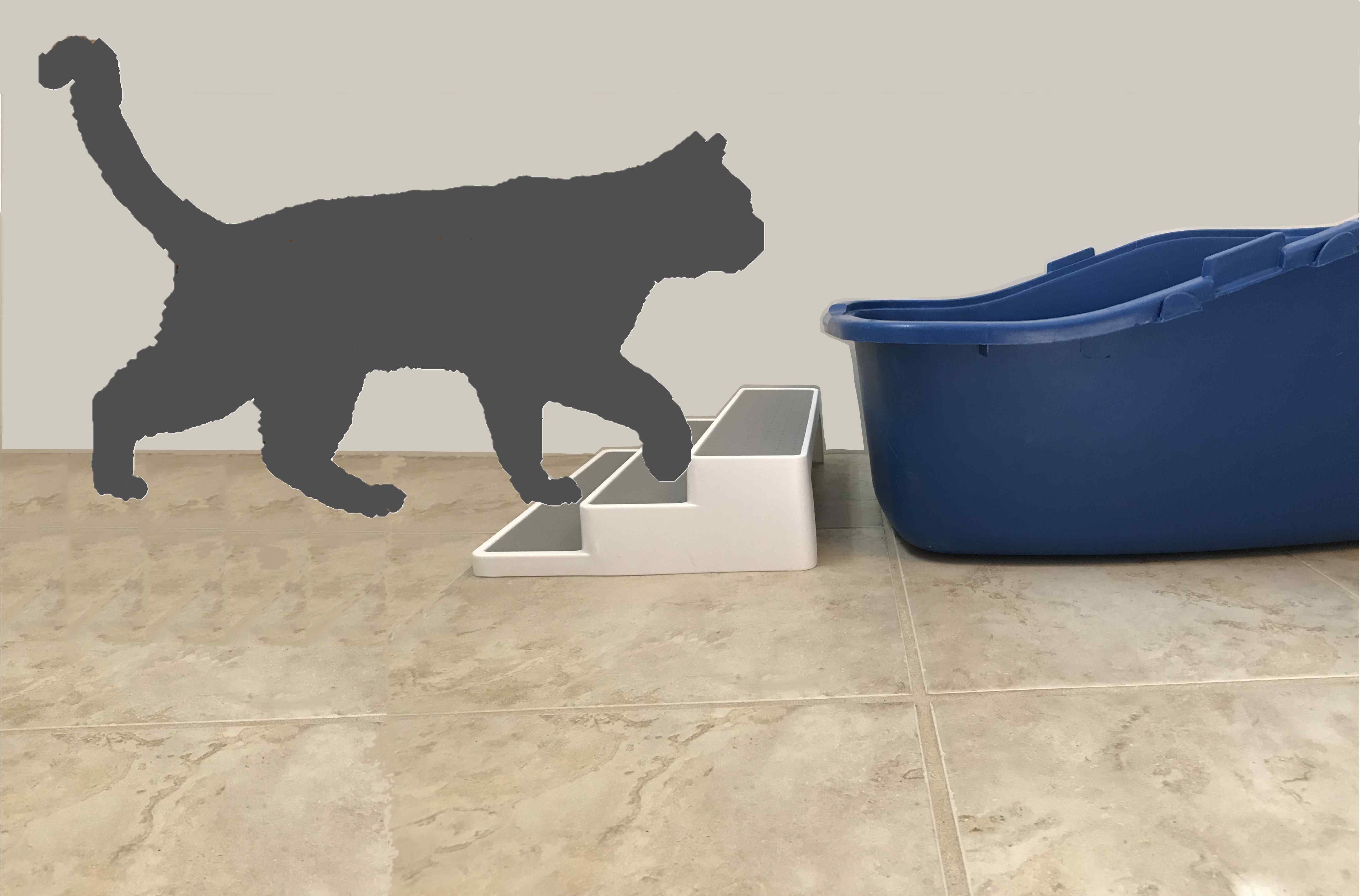 Your Cat May Be Peeing Outside the Litter Box Because of
