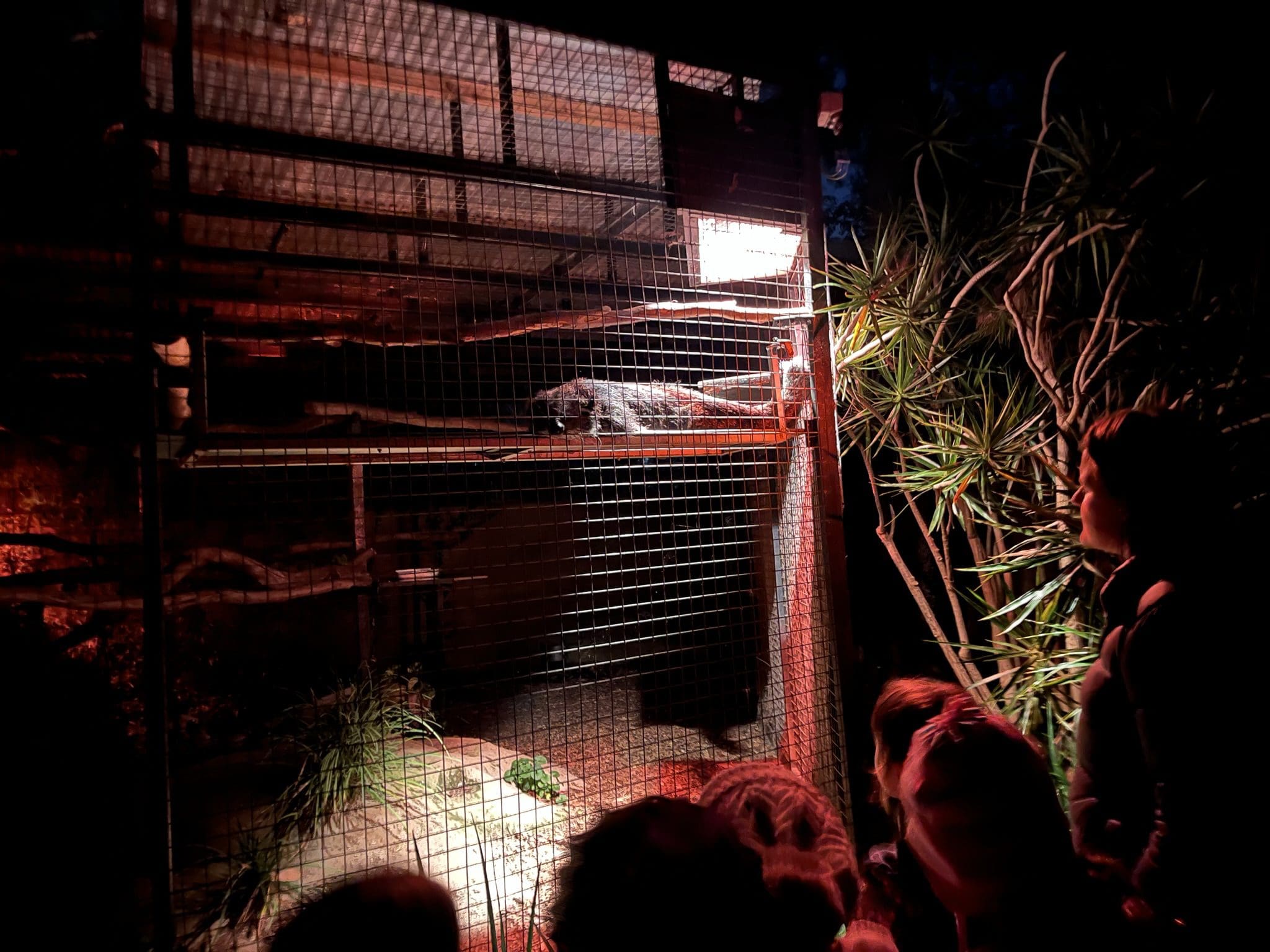 The Zoo Snooze Sleepover Adventure! St Aloysius College