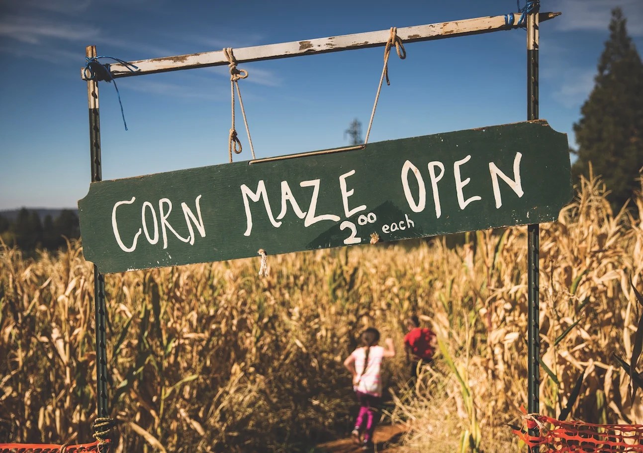 The Ultimate Guide to Apple Hill Sactown Magazine